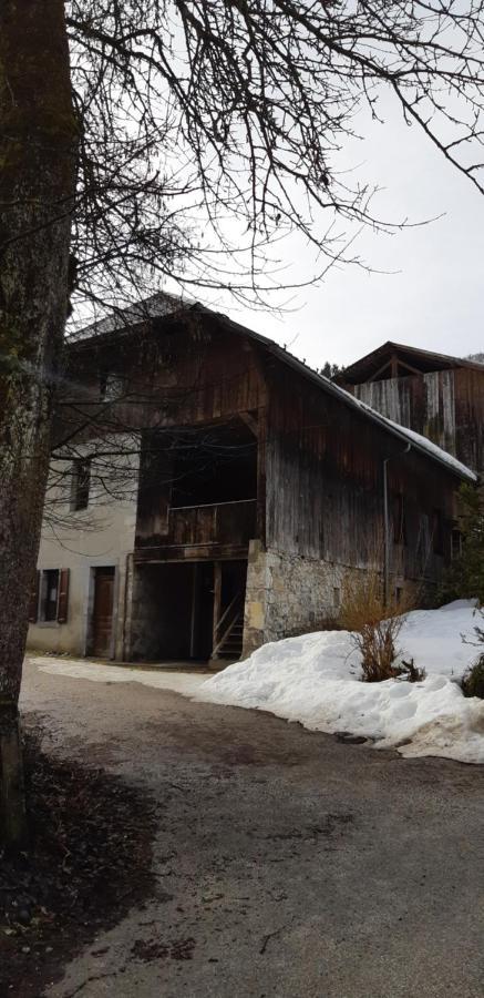 Chalet montagne 11 p Grand Massif 100 m télécabine Villa Morillon Exterior foto